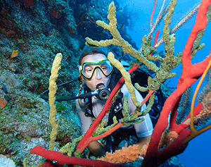 cayman islands condo contact grand cayman photos